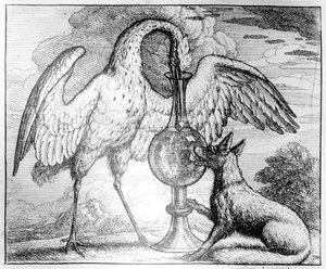La Volpe e la Cicogna, illustrazione per 